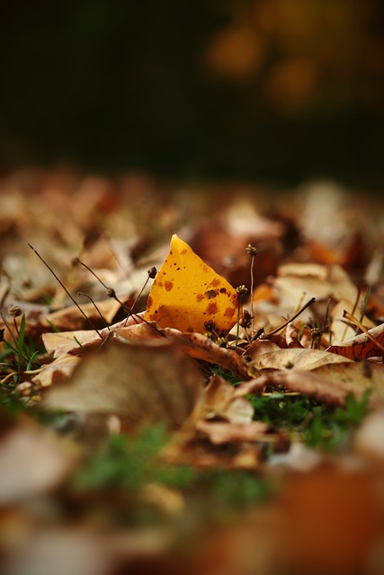频频失利的 频频失利的
