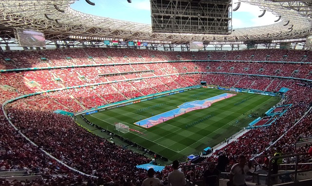 美洲的年轻 美洲的年轻