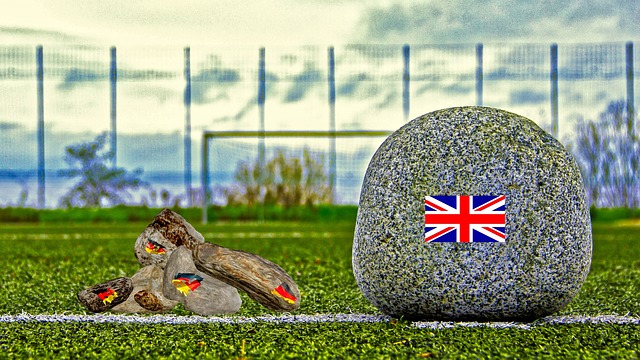 高的观赏性 高的观赏性