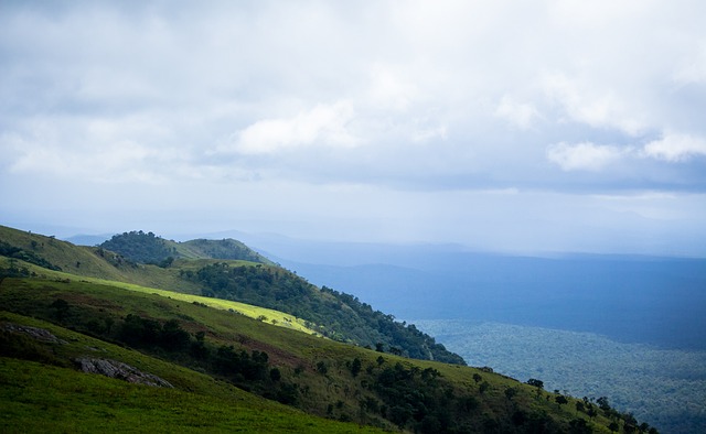 注入了新的 注入了新的